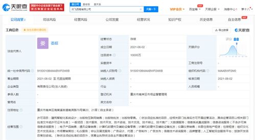 信息系統(tǒng)集成服務(wù)的全面解析