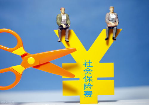 車輛保險費與勞務(wù)服務(wù)的進項稅額扣除問題解析