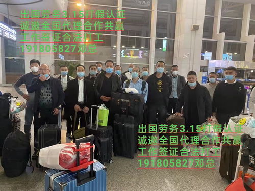 探路歐洲工廠 蚌埠市海聘勞務(wù)公司普工服務(wù)的專業(yè)實踐